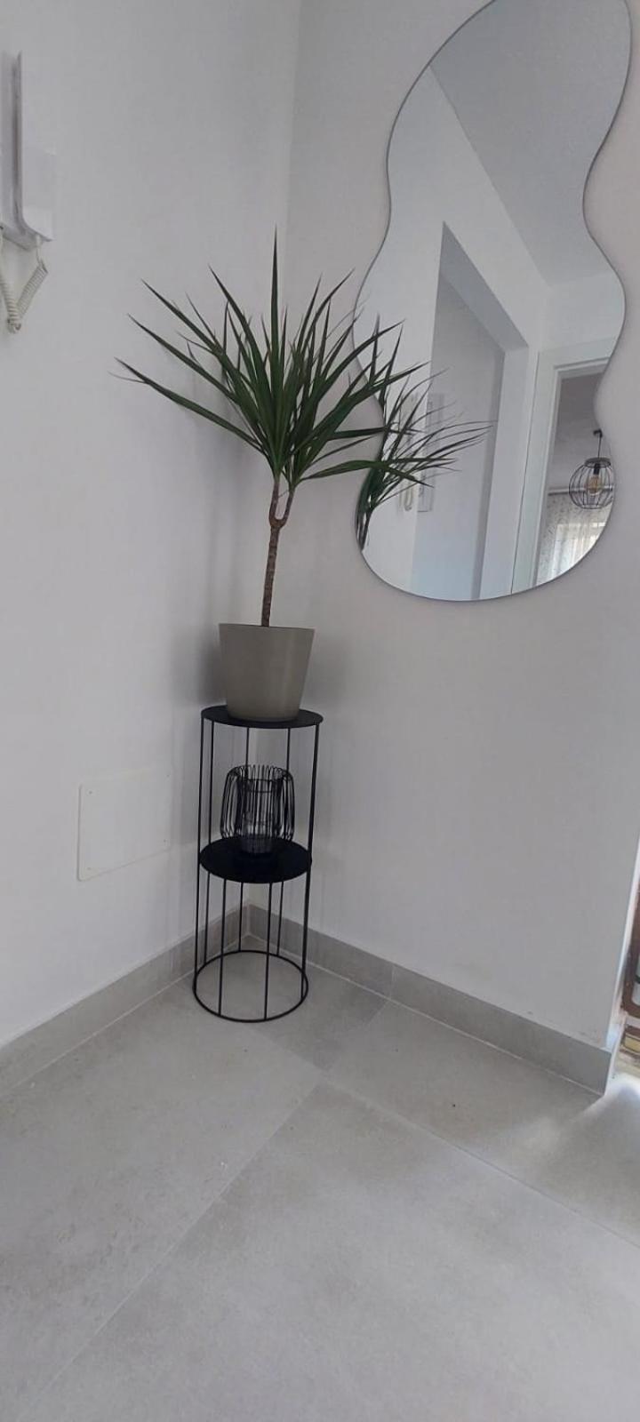 Apartment Olive Kaštela Eksteriør billede